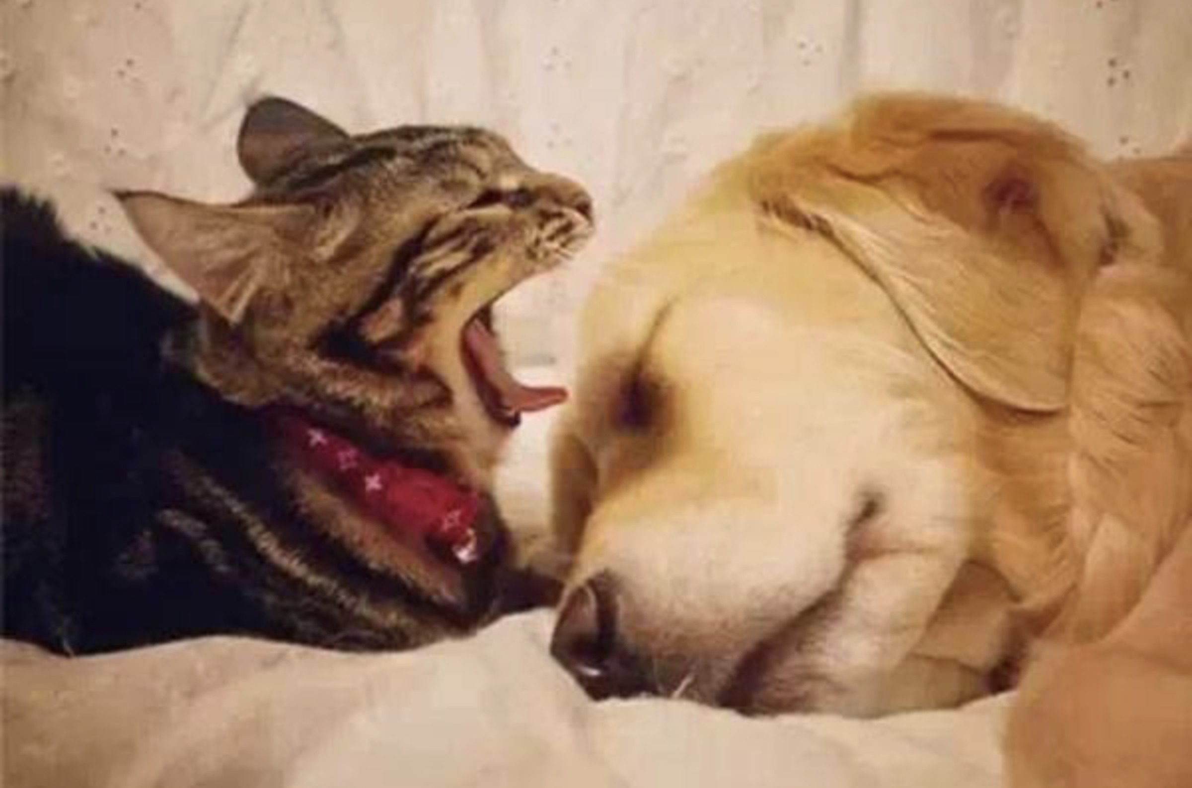 易瘦养成记,易瘦习惯打造易瘦体质