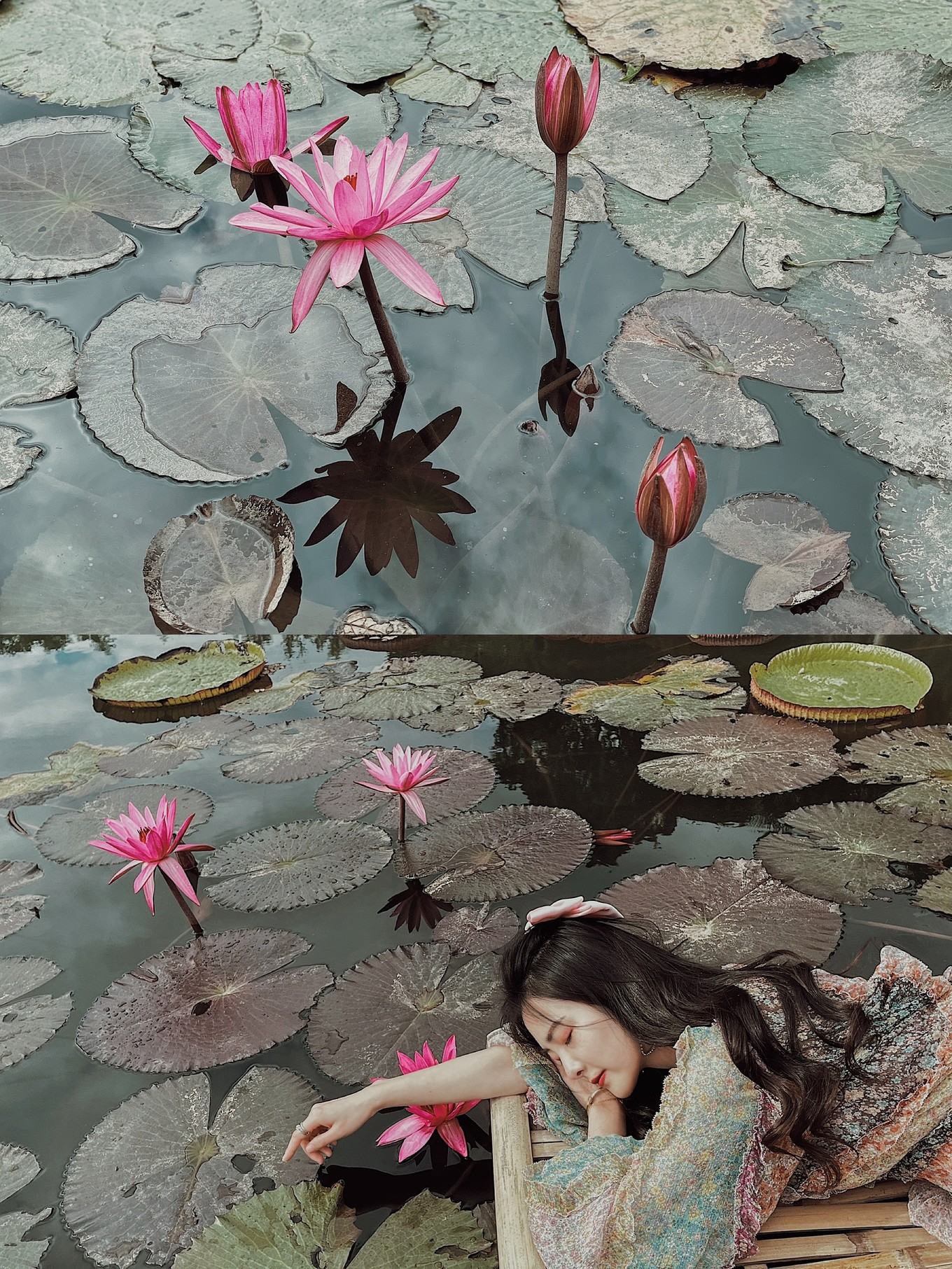 5月份去云南攻略,五月去大理与版纳