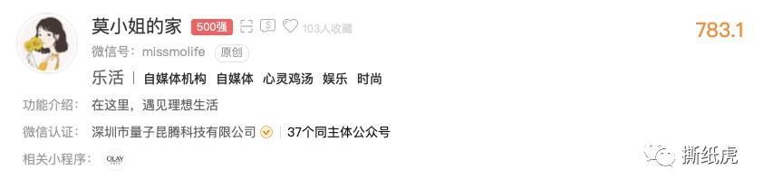 揭秘自媒体公司,自媒体团队骗局曝光