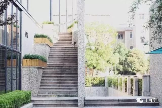 上海最好的十大民办初中,上海各区的顶级初中和一流初中