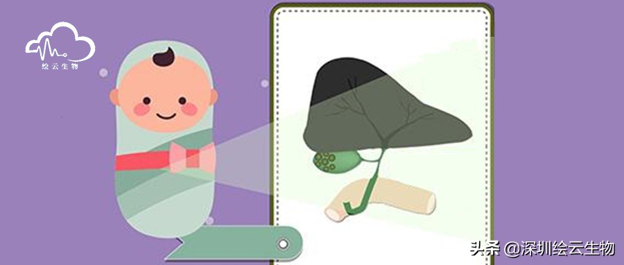 新生儿干血斑取样流程,新生儿胆道闭锁的血液指标