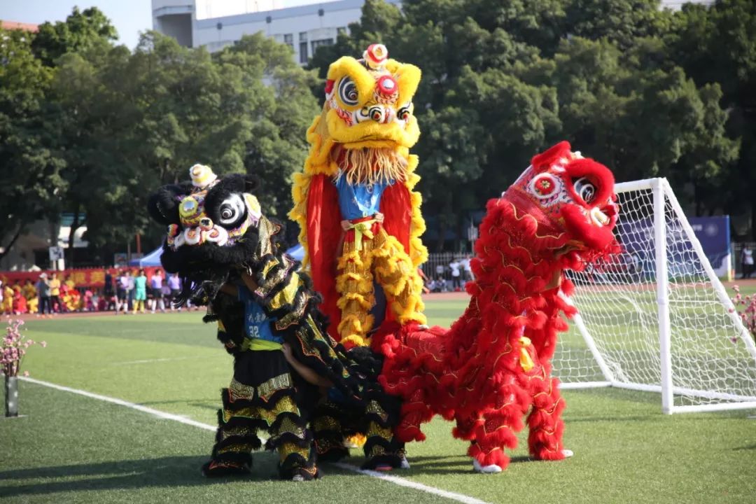 鍏ぇ浣撶郴寤鸿,鍏ぇ浣撶郴鎼厤娉曞垯