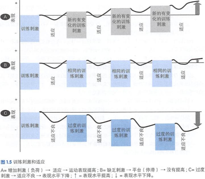 专项体能测评及训练注意事项,专项体能训练的作用