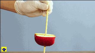 魔力科学小实验合集,魔力科学小实验虹吸