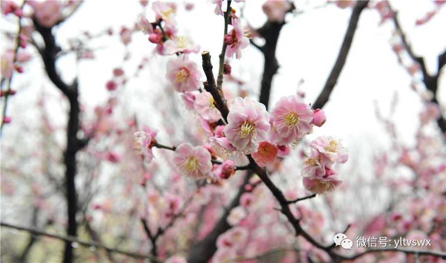 杨凌现状,杨凌最新照片