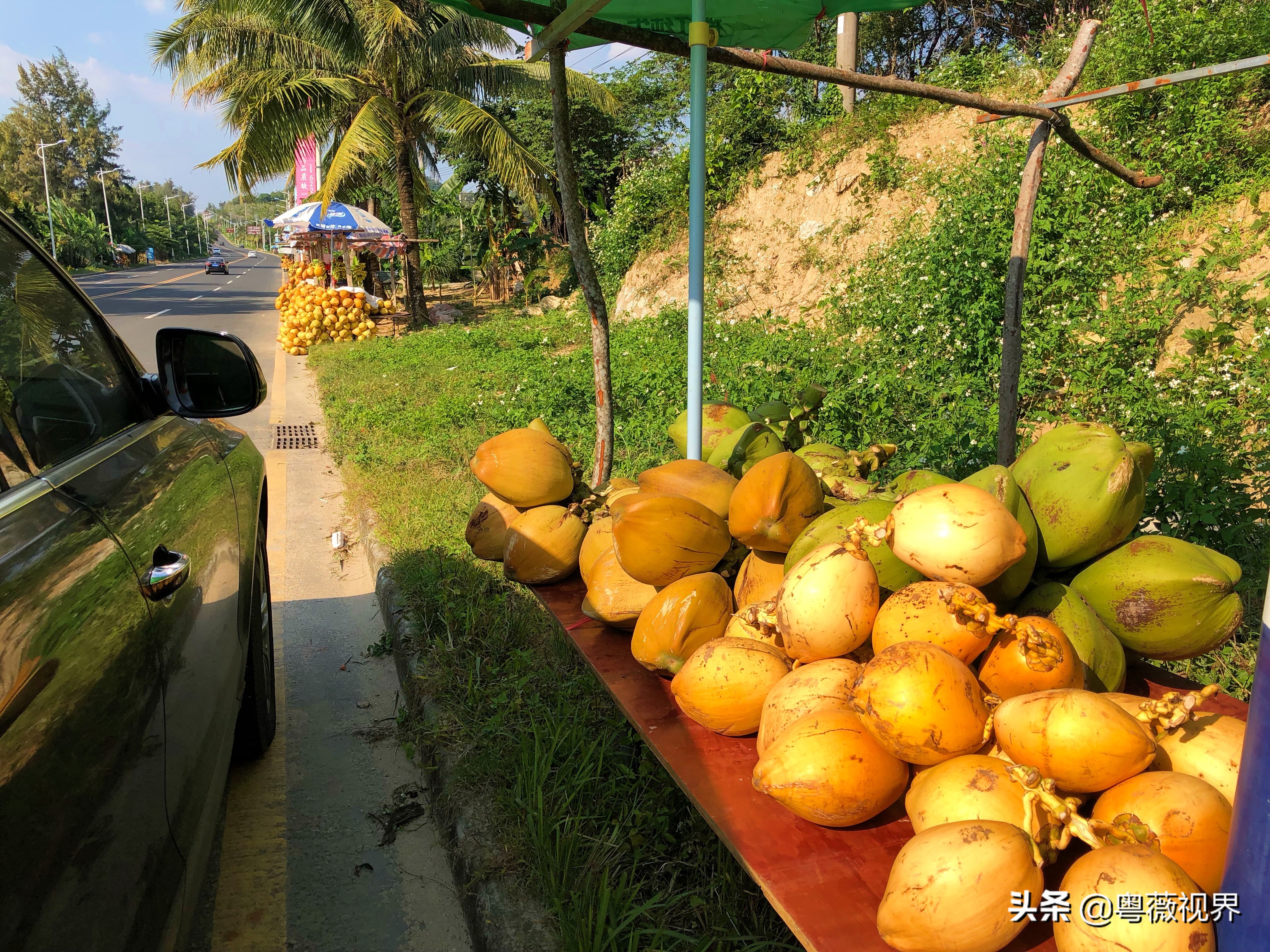 海南岛文昌自驾游攻略,海南文昌椰林湾自驾游攻略