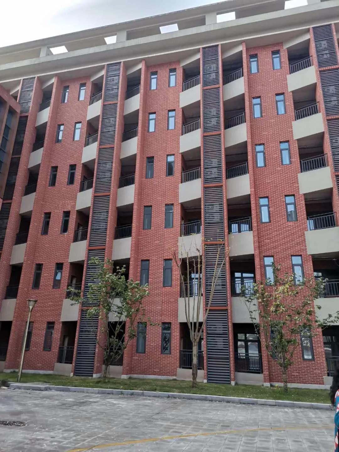 大竹林西大附中环境,西大附中大竹林图片