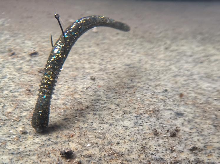 新入坑路亚的钓友基础攻略,路亚新手入门用什么钓组