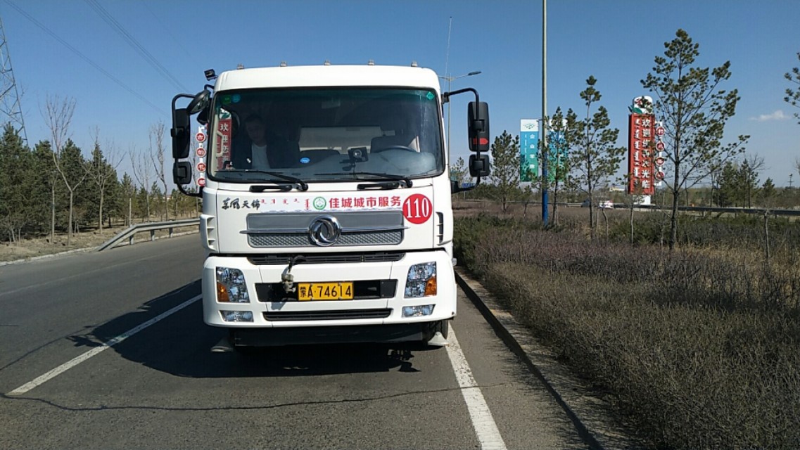 “城市黄玫瑰绽放新英姿”