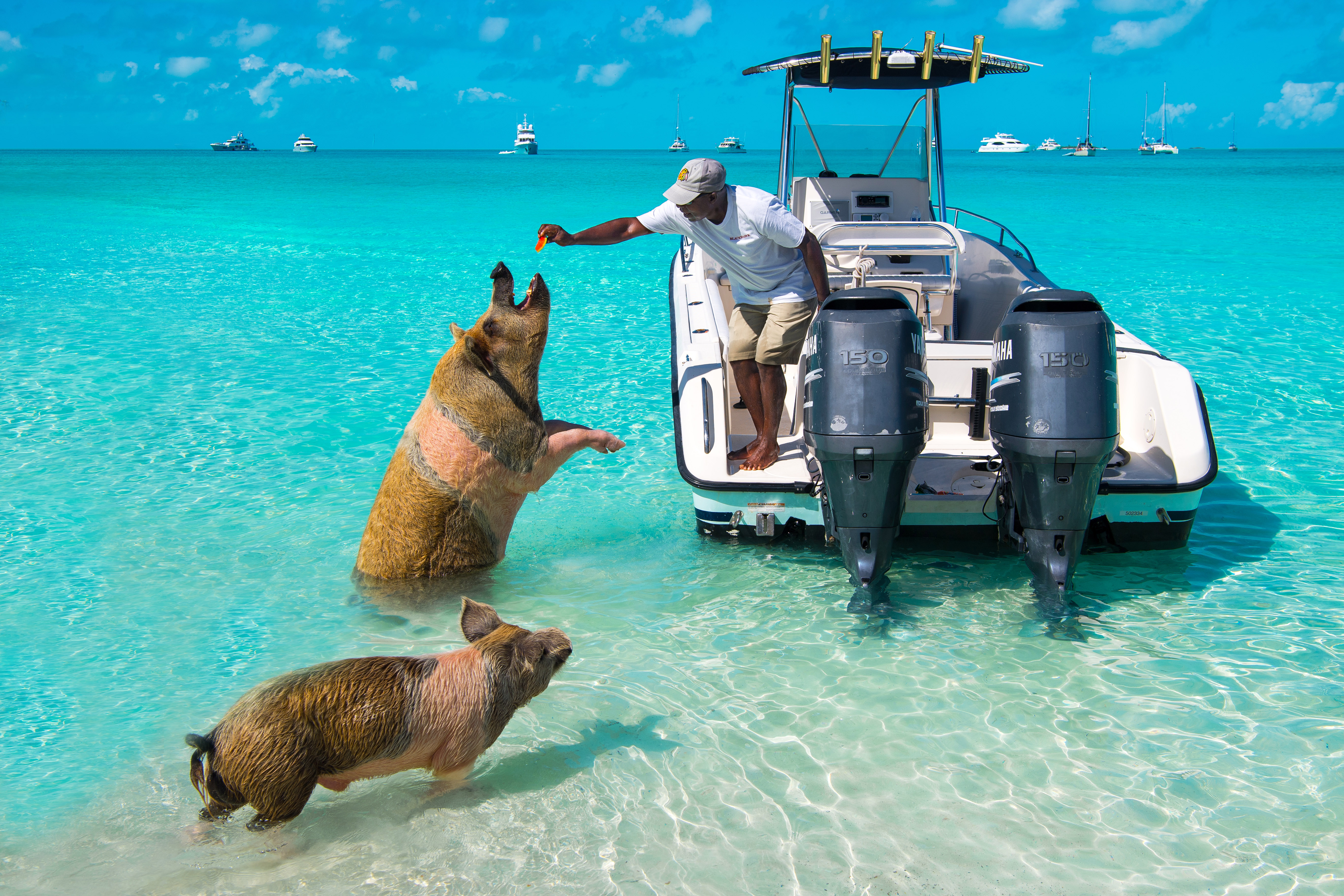 世界有名的海岛旅游胜地,世界10大最奇特海岛