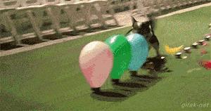 搞笑GIF段子:.我的小萝莉呢?你还我的小萝莉