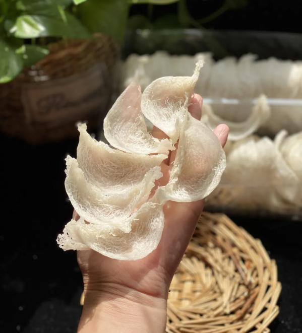 燕窝不为人知的事,燕窝未解之谜深度解析