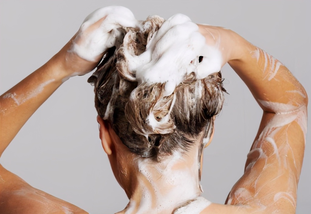 人类进化虱子,虱子与人类共存千万年