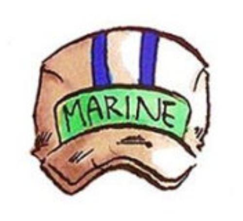 海贼王中出现的帽子,海贼王燃烧意志等级可以继承吗