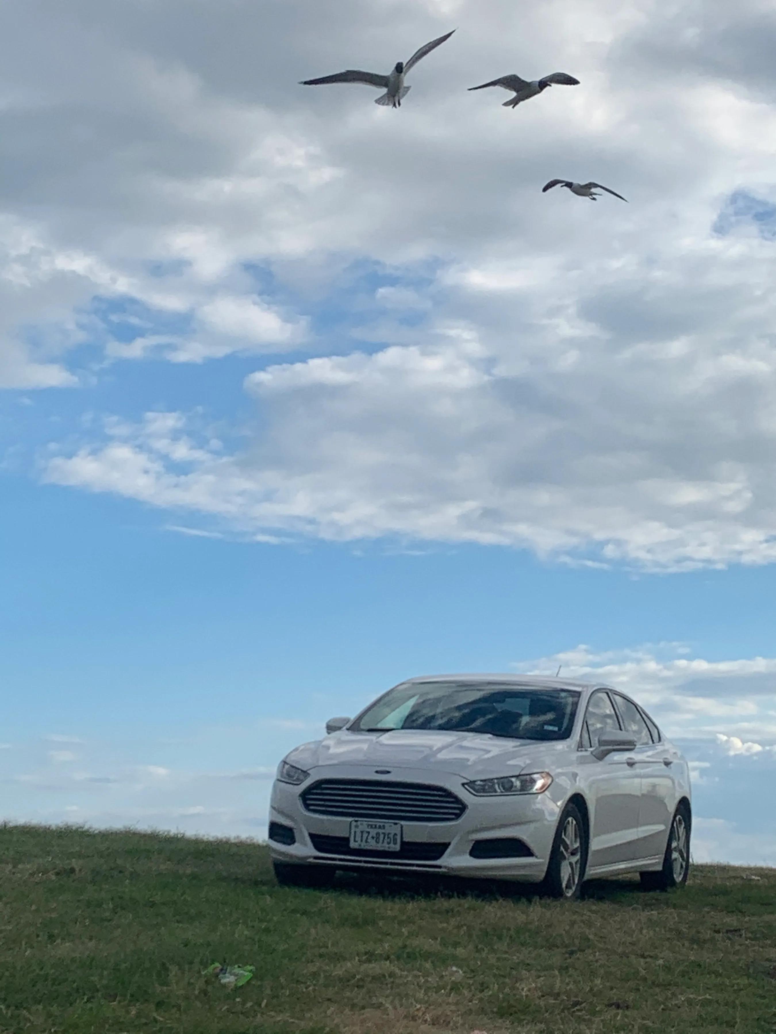 吐槽22款蒙迪欧,蒙迪欧17款美版