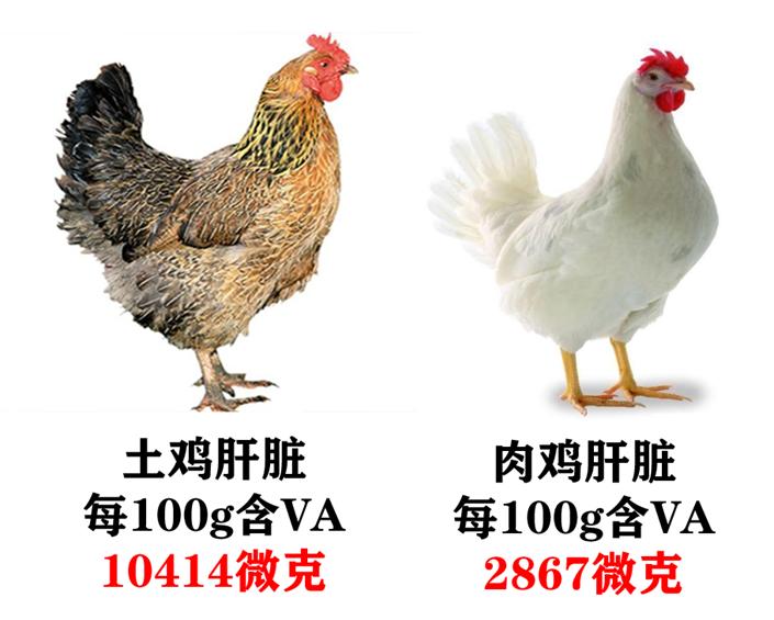 每天给猫吃会惯坏吗,每天给猫咪吃很多猫草会怎么样