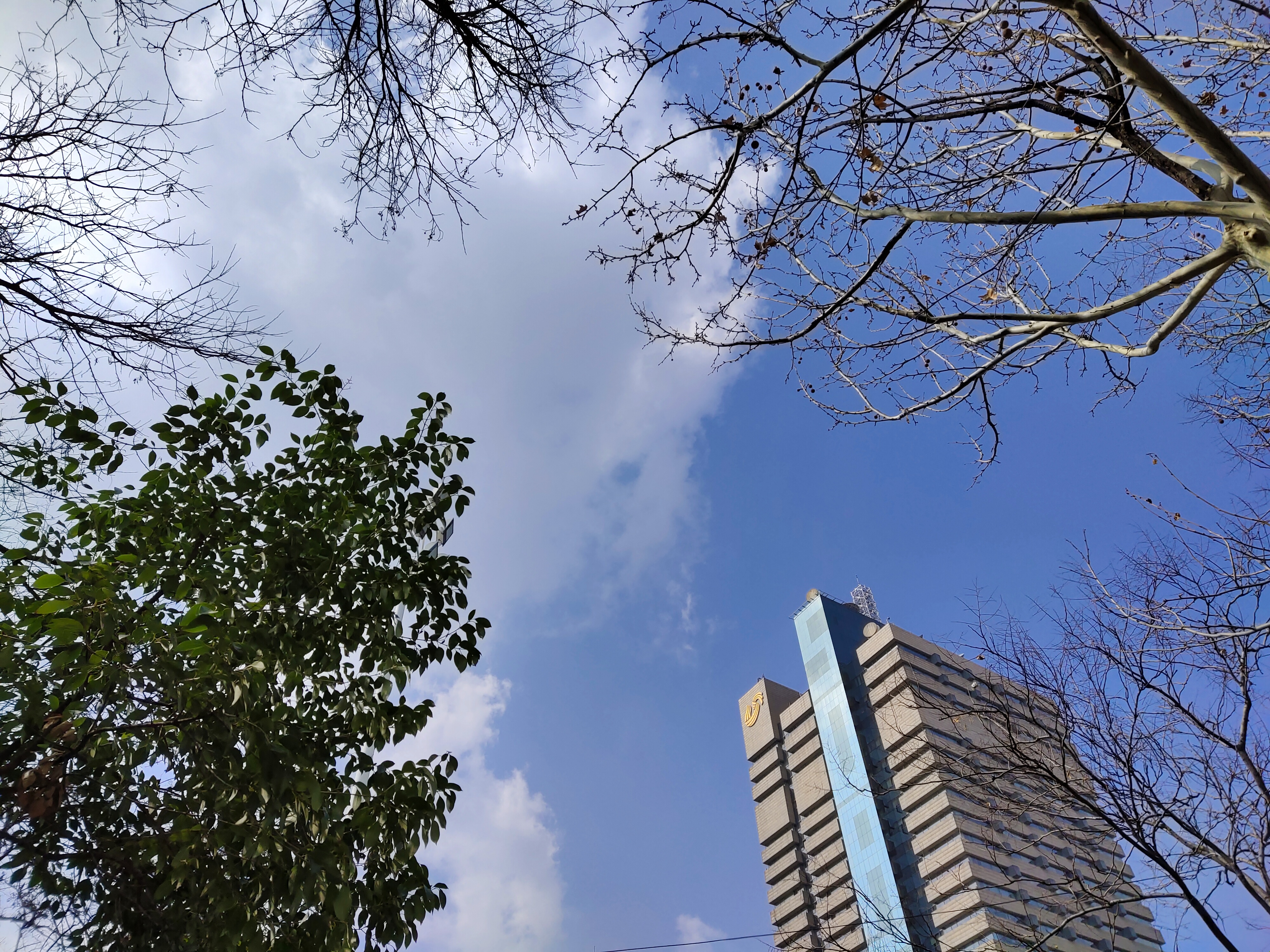 最好用的5g手机vivoz6,十大性价比最高的手机vivoz6