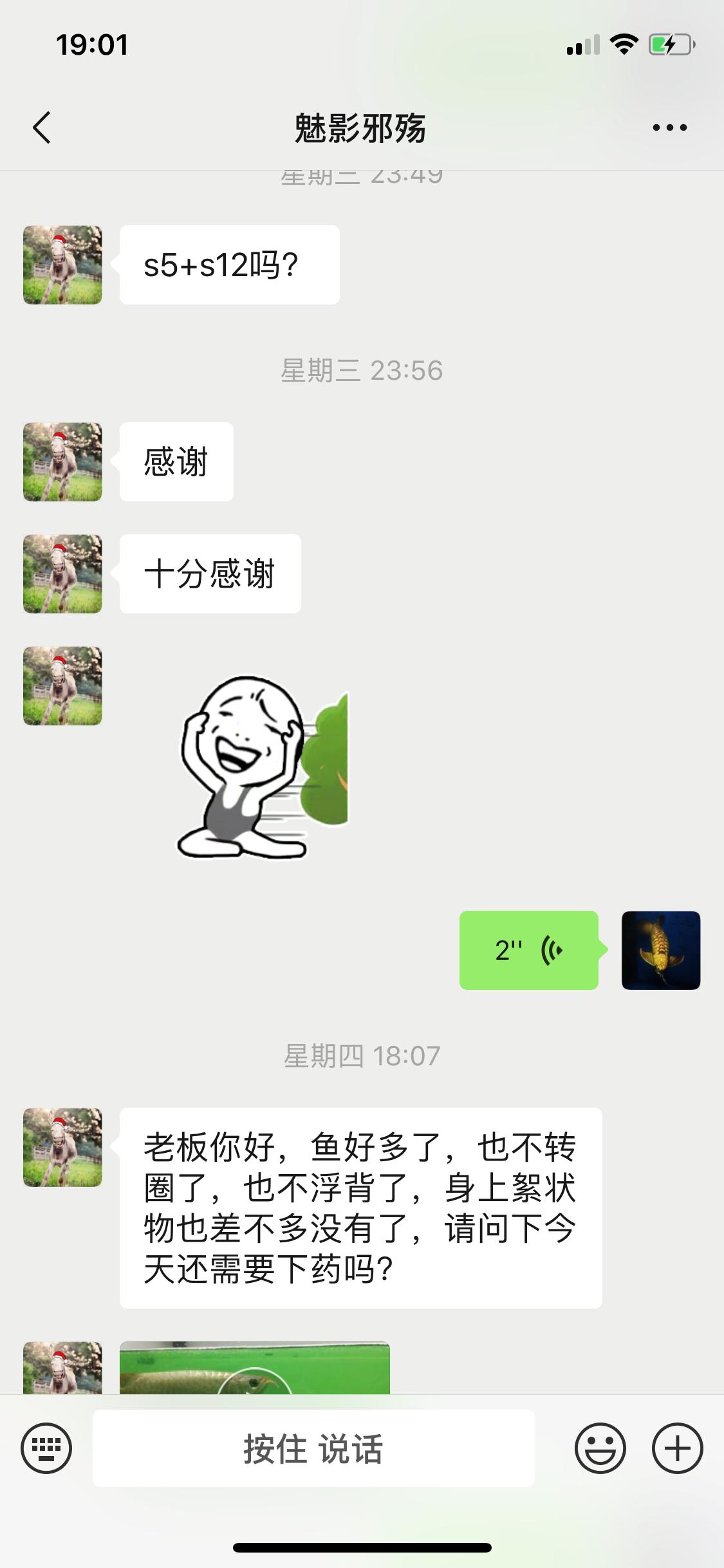 金龙浮漂发炎,速倍妥只用了1天不到就帮我治好了!!!