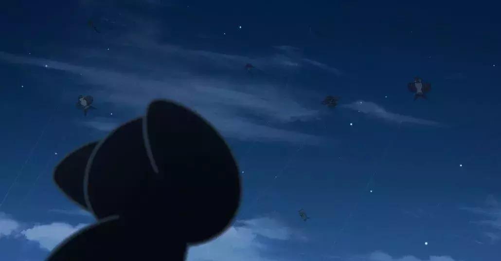 我竟然撸了9年的假猫？