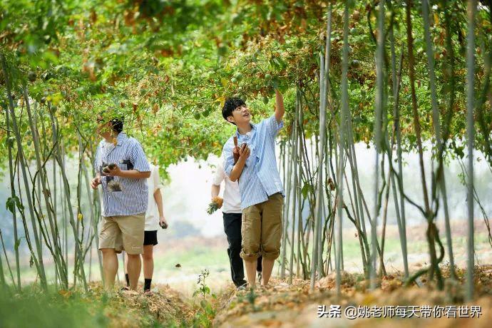 2月旅游灵感,旅游2月攻略最佳自由行