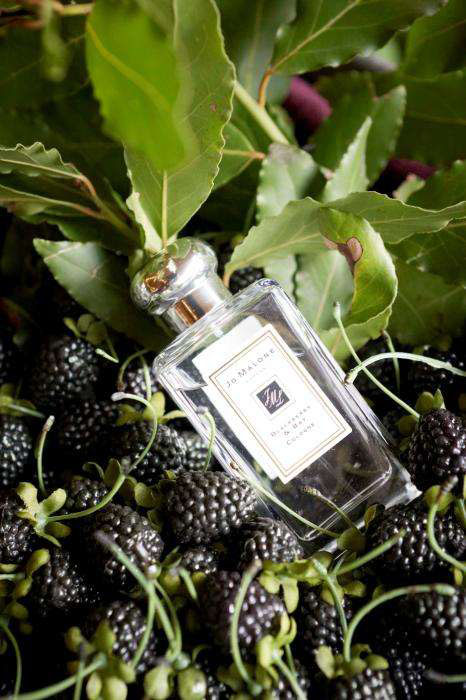 撞香比撞衫更可怕!轻*女熟**必备这7款小*香众**水,闺蜜都羡慕你的美