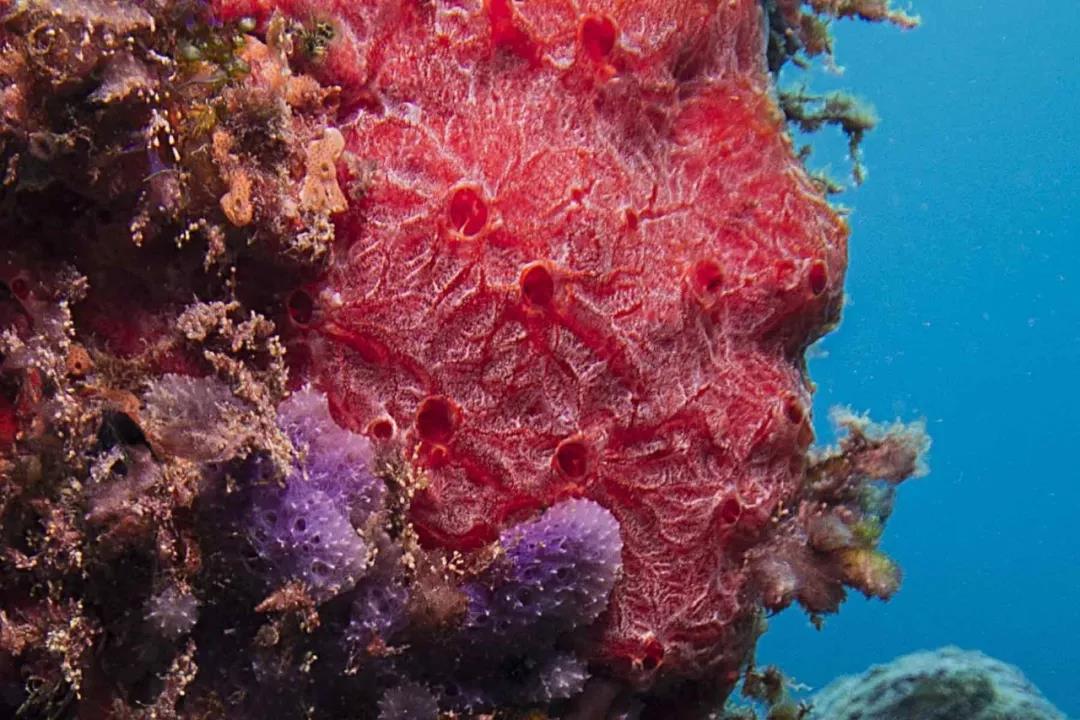 国家博物馆研学一日游,博物馆研学旅行的意义及感悟