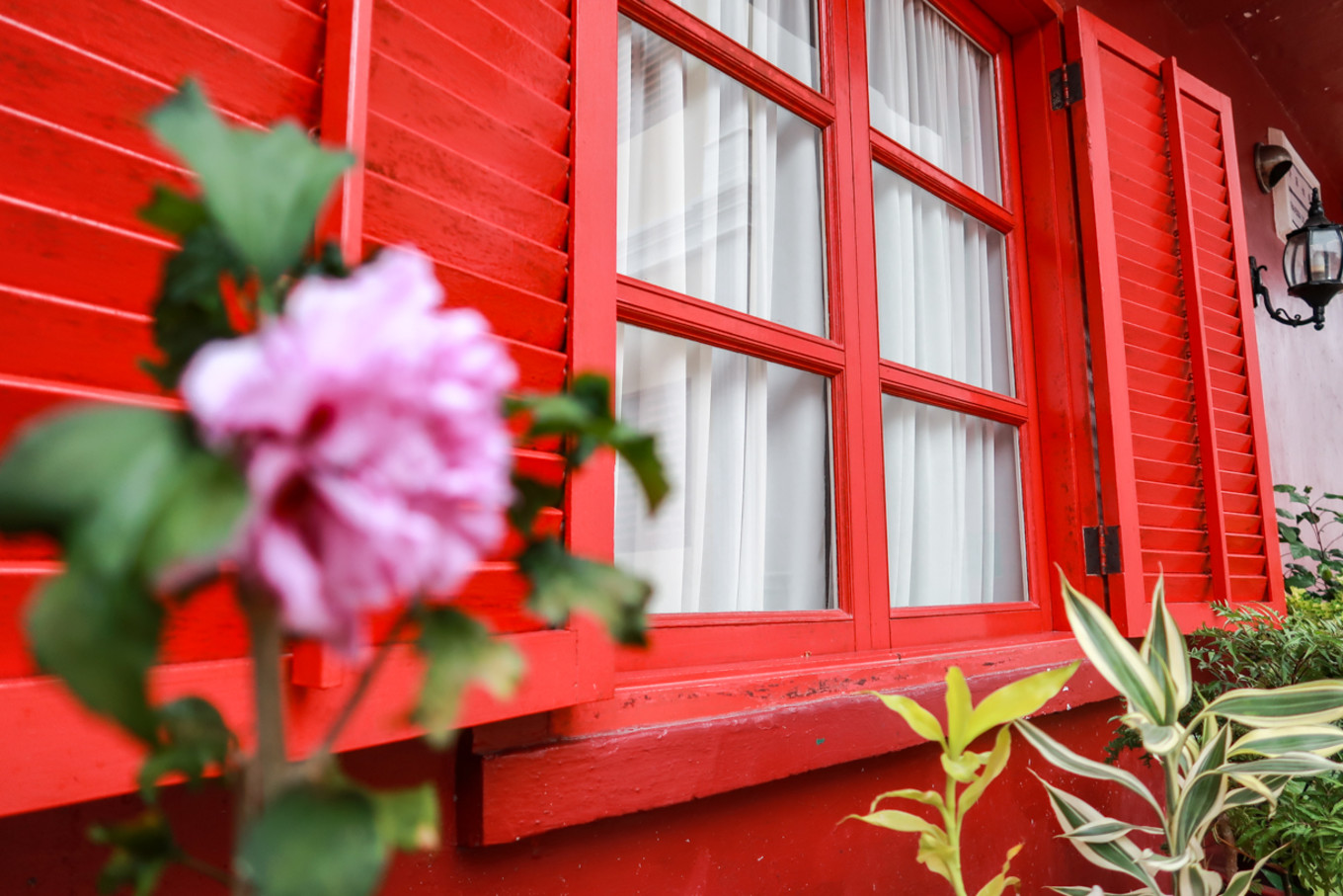 疫情隔离在家解锁新技能,澳门最新入境防控疫情措施