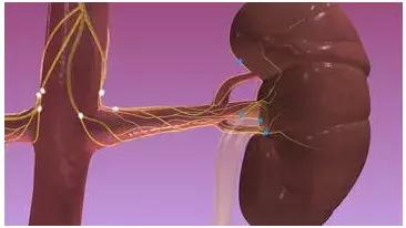 高血压除了吃降压药还能吃啥治疗,除了吃药还有什么办法可以降血压