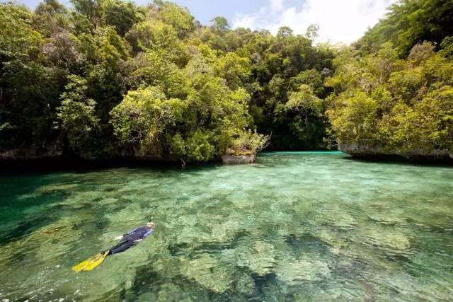比马尔代夫更高级的岛屿,太平洋海岛帕劳旅游攻略