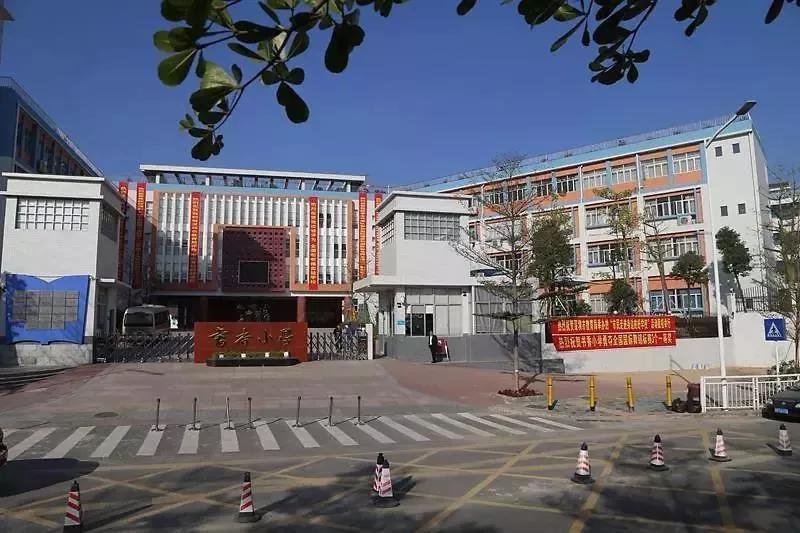 书香小学在龙华新区排名怎么样,深圳龙华书香小学好吗