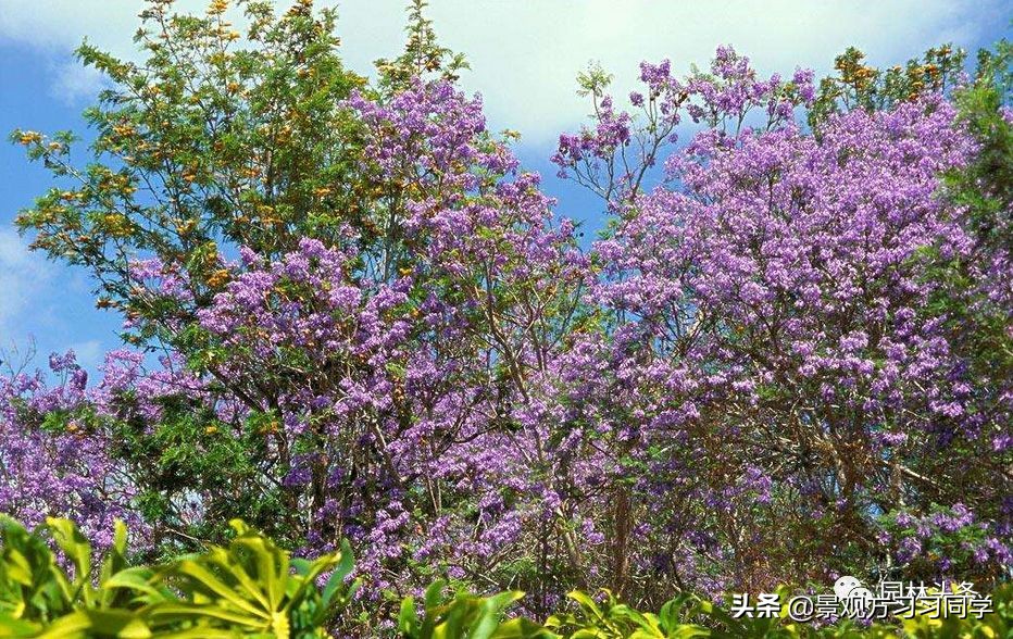 农村庭院花园效果图大全现代简约,花园设计效果图庭院180平方米