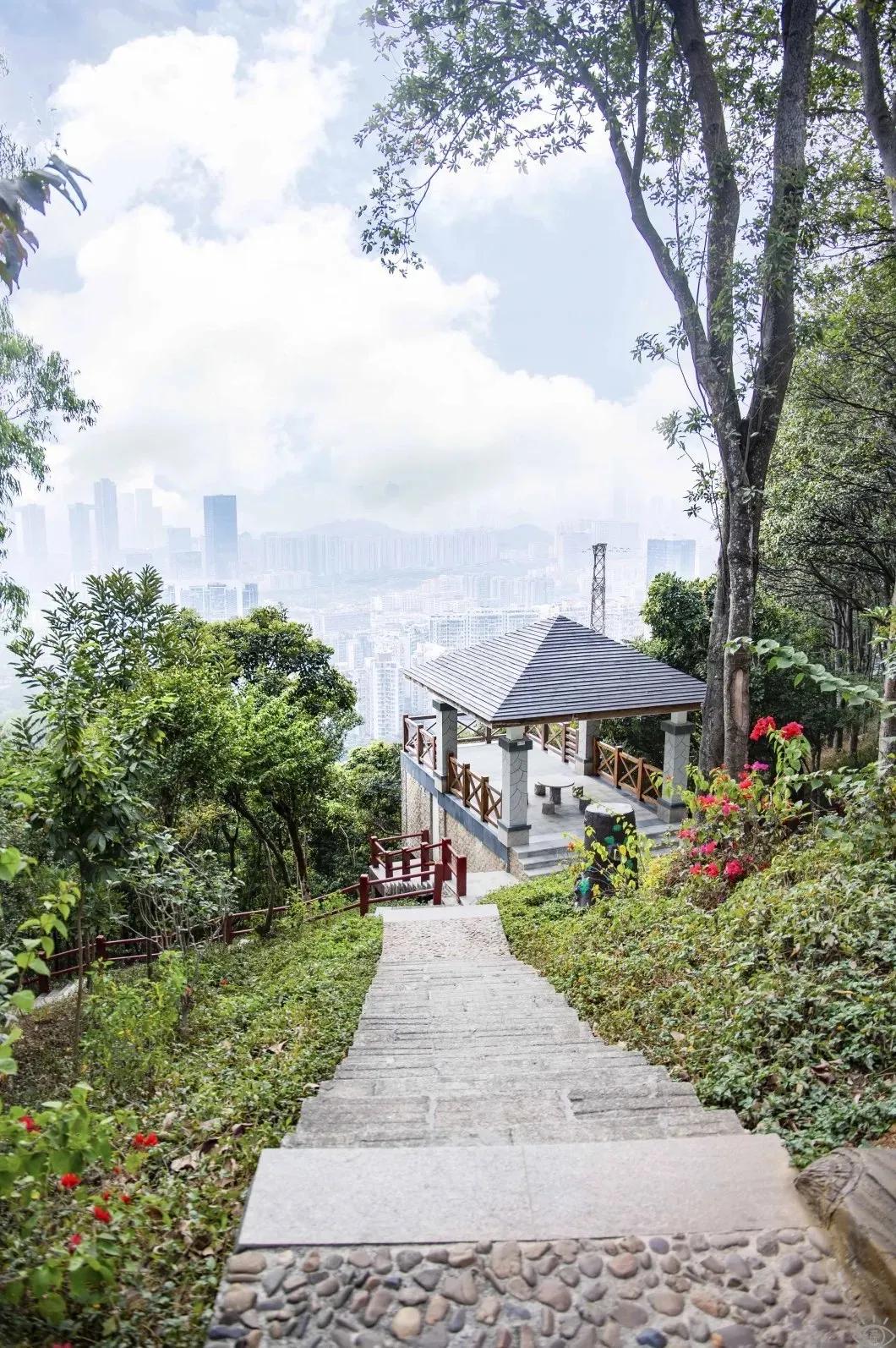 4号线值得逛的地方,9号线有什么地方可以玩