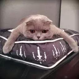 春节吃胖10斤节后减肥有诀窍,节后减肥计划安排表