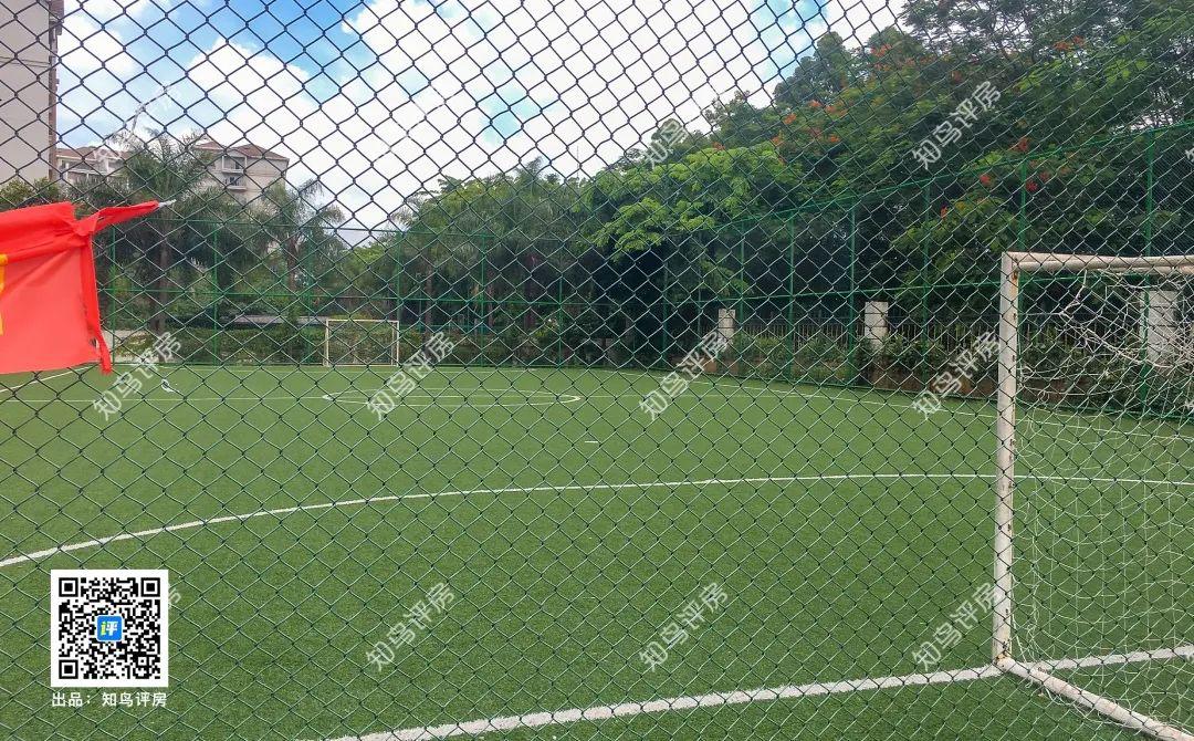 坐拥35公顷水域的横圳水库的虎门丰泰裕田，究竟好在哪里