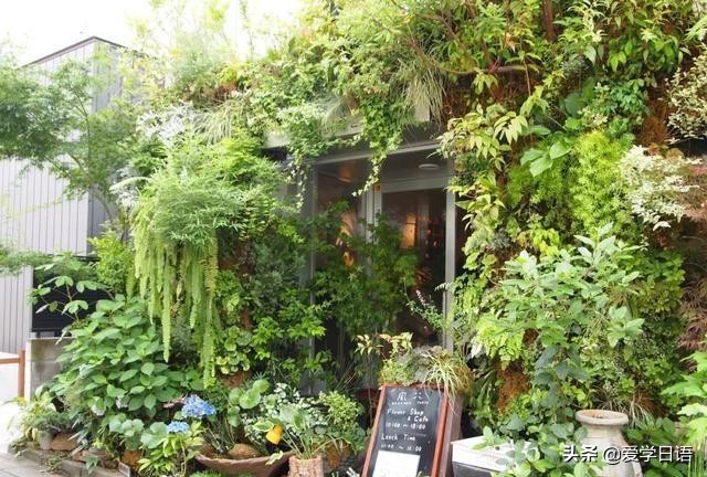 日本花店,日本花店是什么