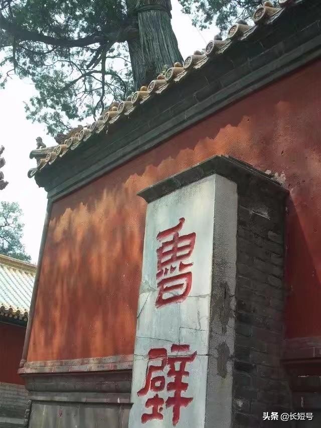 孔圣人的花园在哪里,孔圣人的家乡在哪里