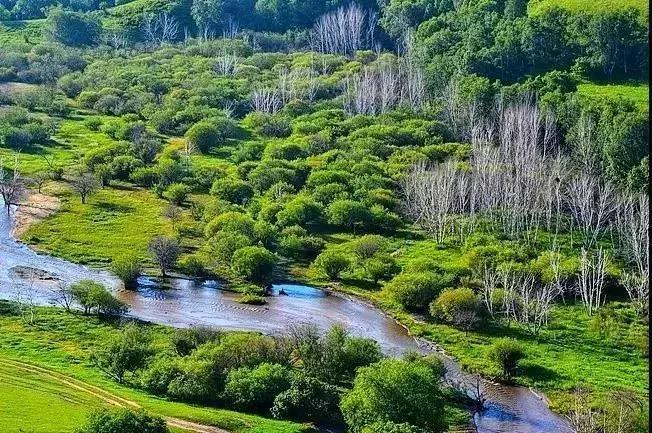 草原天路自驾游攻略最新,天路塞罕坝乌兰布统