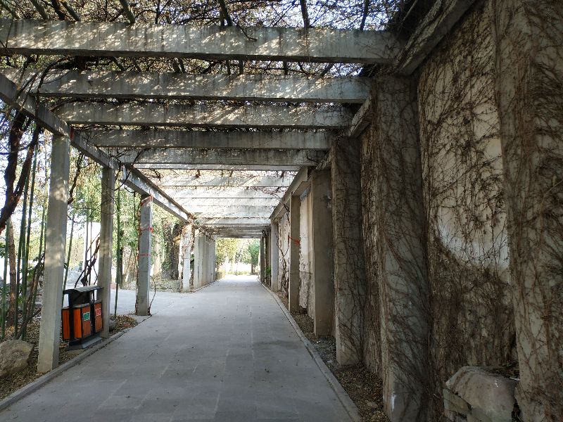 草堂寺塔,草堂寺的塔