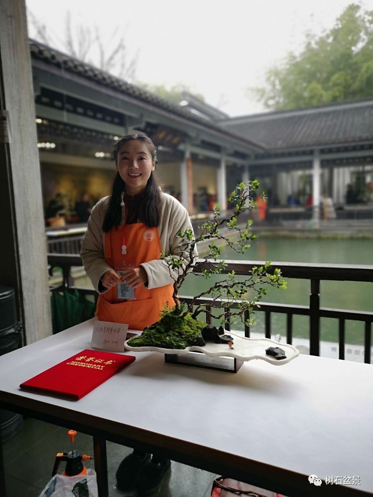 杨派盆景传承人,杨派盆景非遗传承人