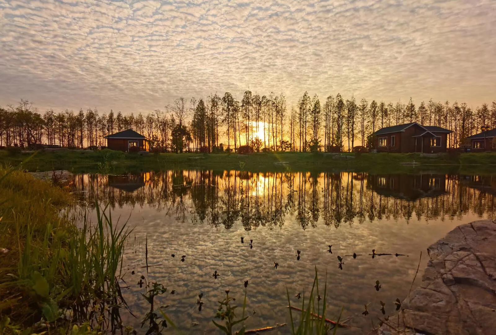 扬州小隐庄园,扬州古城区小院