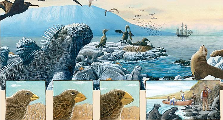 423读书节诚意推荐,423书香节