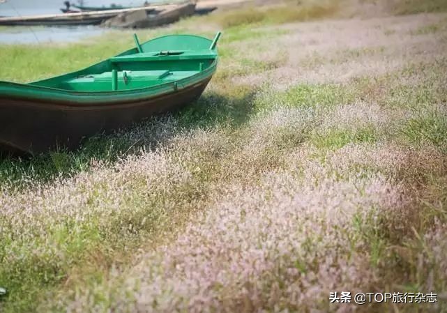 原来长沙隐藏了这14个人少景美的江心洲!不出城就能感受“海岛风情”,有些可以追溯到五代十国……