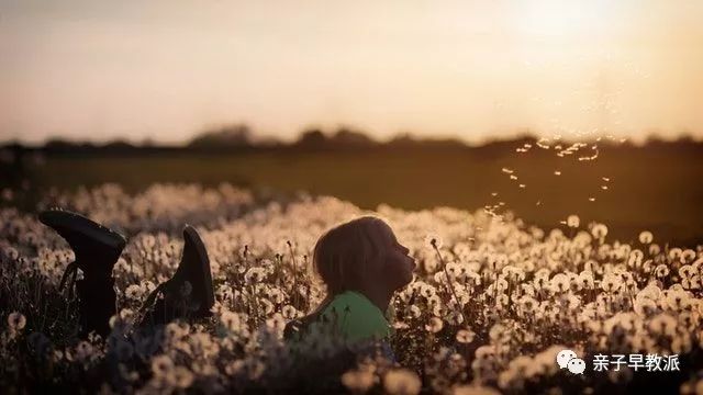 什么是早教包含什么,什么是早教有哪些内容