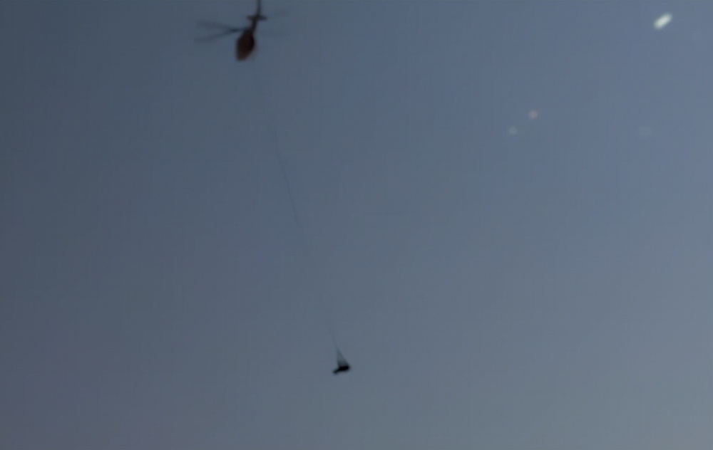 潜艇里杀蟑螂、人类猫语十级，今年的搞笑诺贝尔奖来了