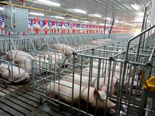 铜川印台发展,铜川市印台区产业园