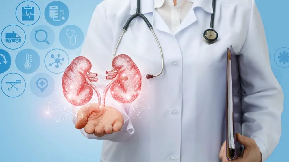 肾病能得到彻底“治愈”吗?请把握住这两个关键时期
