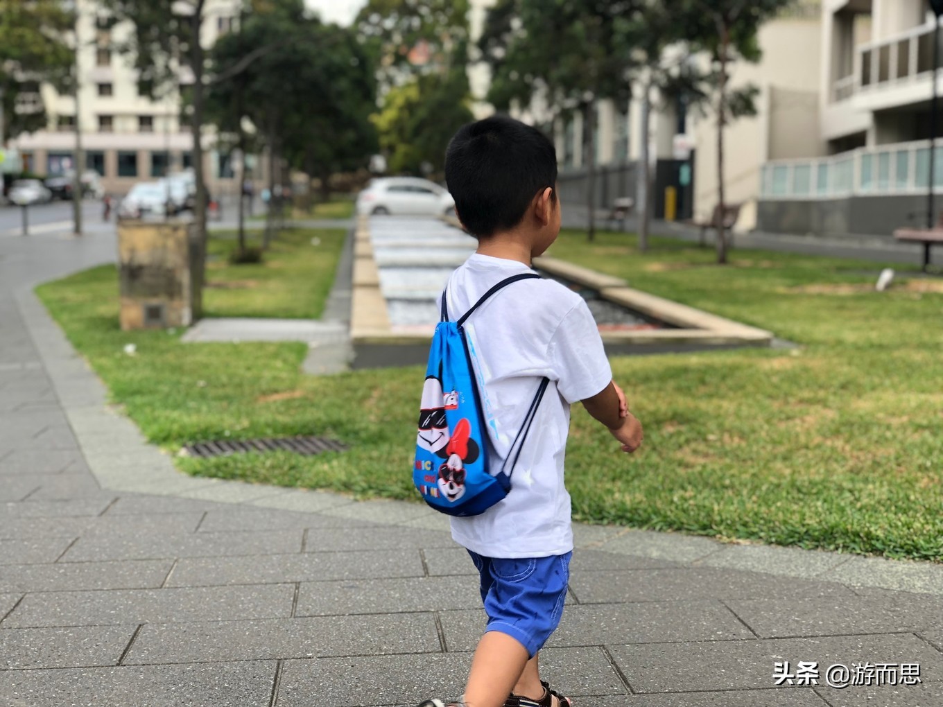 澳洲旅游攻略跟团游,澳洲堪培拉一日游攻略