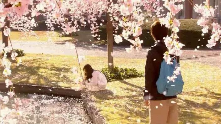 影帝和美食都带不动的深夜食堂,真的还要拍下去吗?