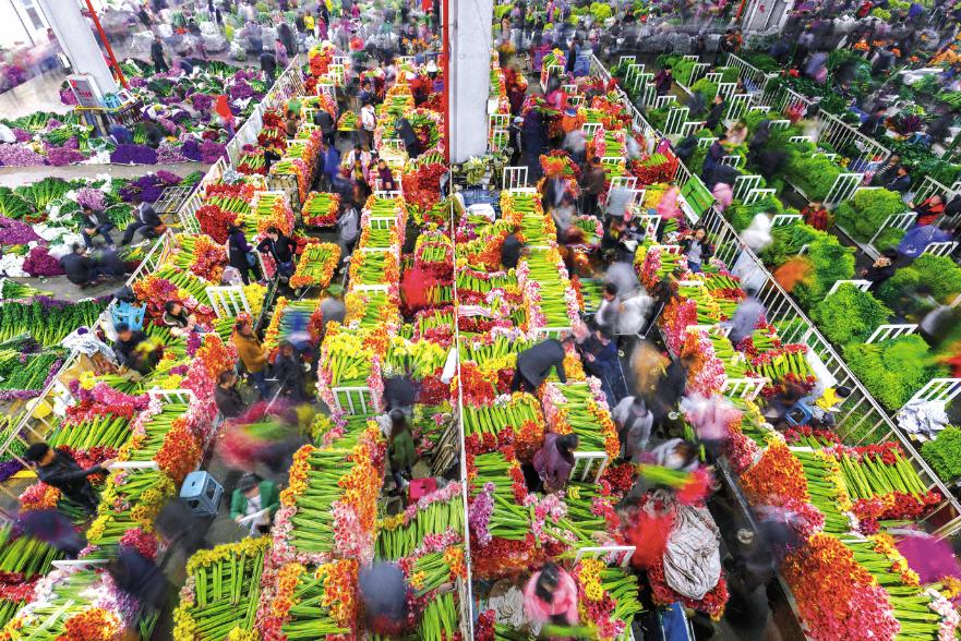 「风尚行」“花花世界”触手可及，隐藏在新亚洲体育城的娇艳诸芳