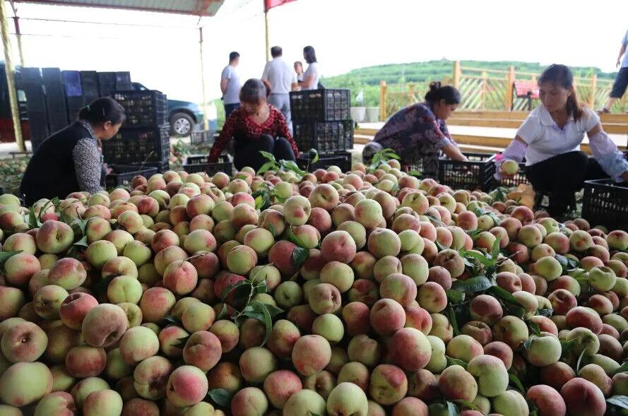 乡村之美纪录片,余庆乡村风光